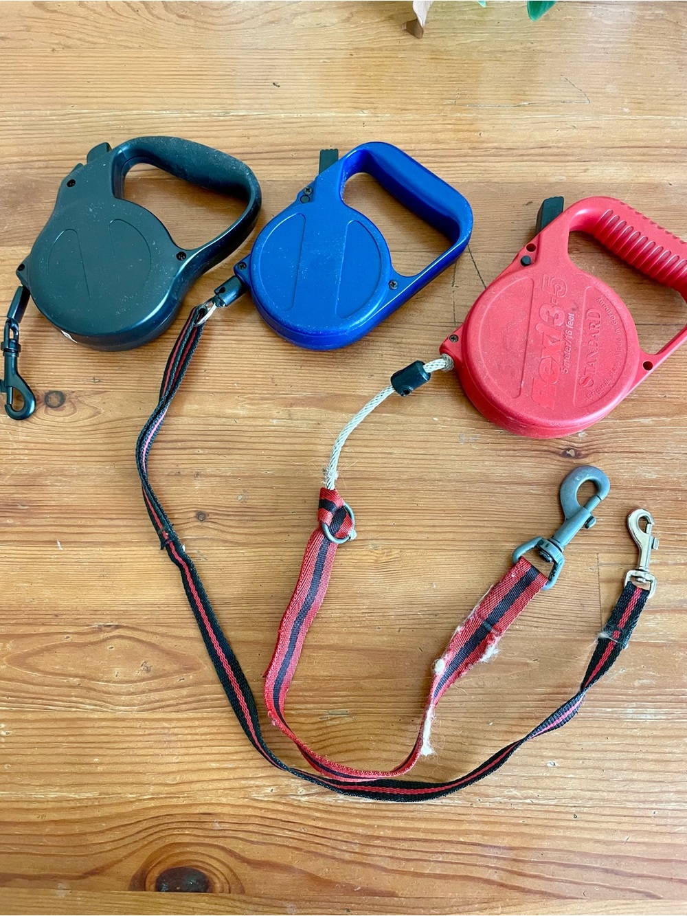 Vintage Flexi Retractable Dog Leashes in Black, Blue & Red